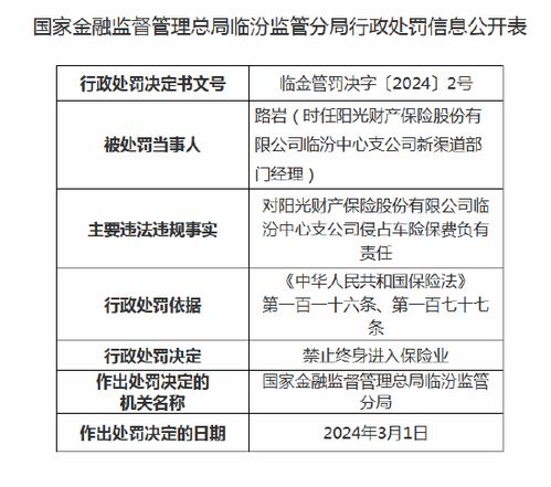 阳光汽车保险综合评估报告