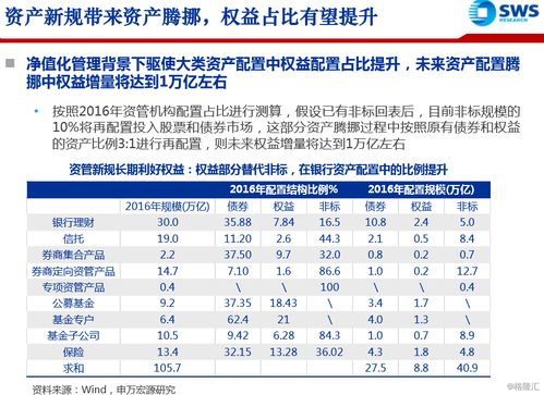 保定天鹅股份有限公司投资分析报告