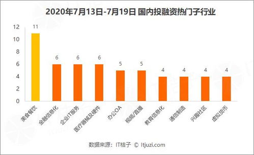 京东公开发售股份，投资者应如何评估与决策