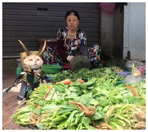 孙子的大喜之日与奶奶卖菜攒下的万元厚礼