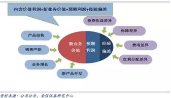 太平洋汽车保险公司，投资价值分析与理财策略