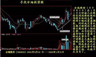 广宇集团股票分析与投资策略建议