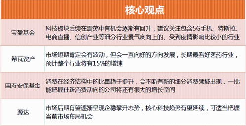 广发策略优选基金深度解析，投资策略与市场表现