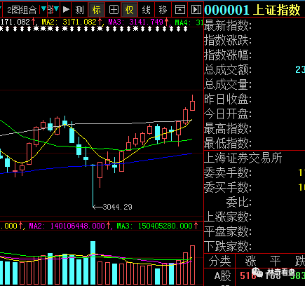 002271股票深度解析与投资策略