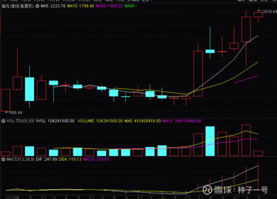 股票002157，正邦科技的投资分析与前景展望