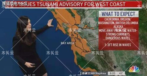 全国多地出现海水倒灌现象 专家深度解析背后原因及影响