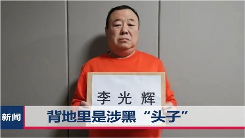 涉黑公安局副局长妻子曾运营公交线路背后的故事