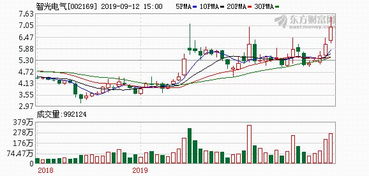 智光电气股票投资分析与展望