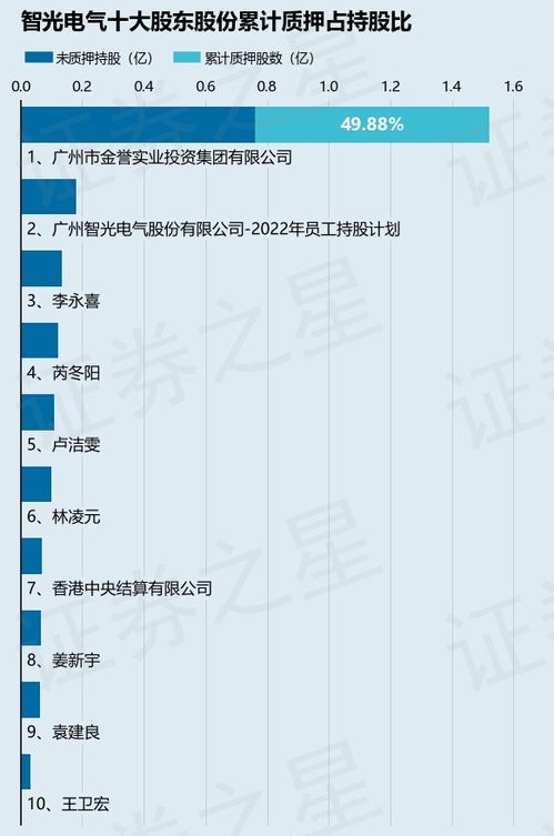 智光电气股票投资分析与展望