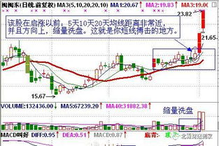 财星股票财经网，投资者的智慧之选