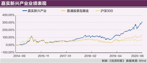 基金000041深度解析，投资策略、业绩表现与风险评估