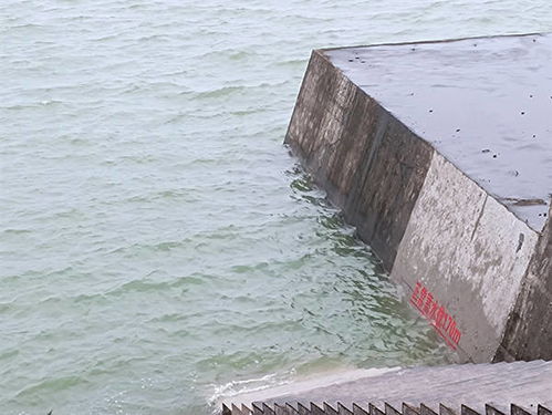 四川最大的超级水库首次蓄满，生态与经济的双赢