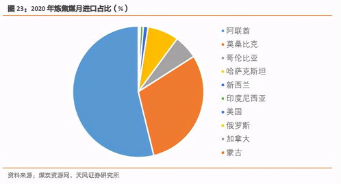 000933资金流向分析，把握投资机遇