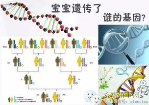 女性生育保险，全面了解与智慧规划