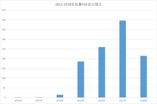 华夏回报混合型证券投资基金，净值表现与投资策略分析