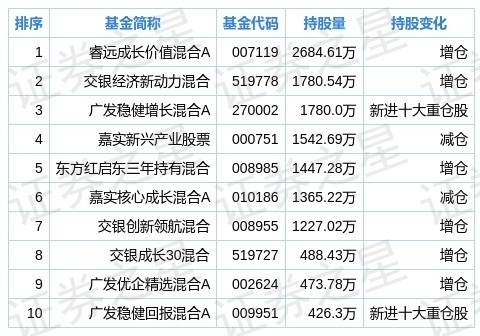 巨星科技股票分析与投资建议