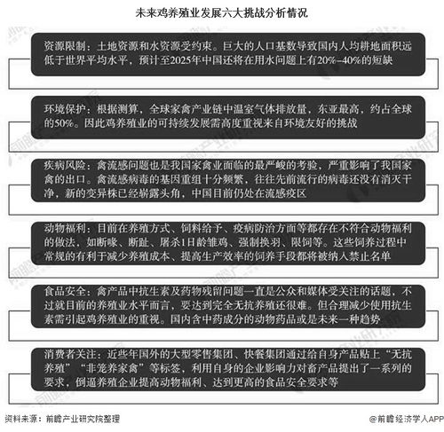 通化金马重组，机遇与挑战并存的投资分析