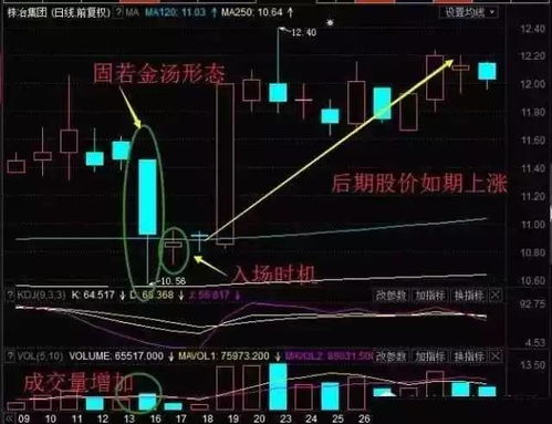 股票学习软件下载指南，助您成为股市高手