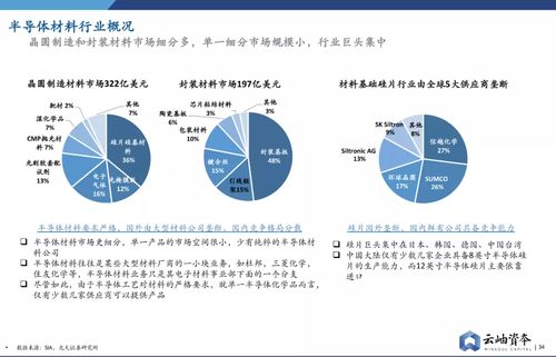 鹿港科技（601599）投资分析与展望