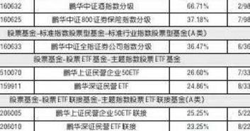 鹏华动力160610，深入解析与投资策略