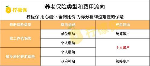 企业养老保险缴费比例详解及影响因素