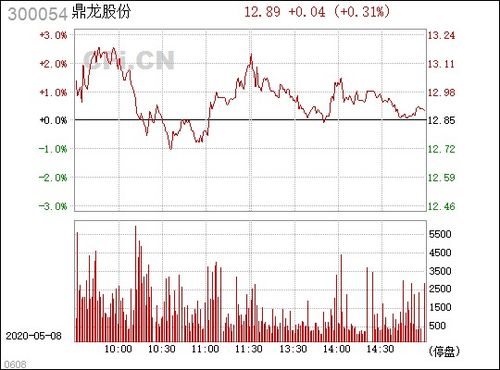 鼎龙股份（300054）投资分析与展望