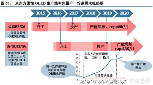 解读与投资策略