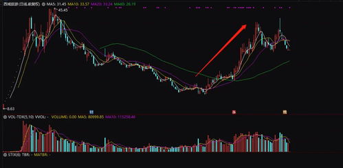 金马股份股票投资分析与策略