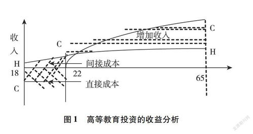 投资者视角下的分析与展望