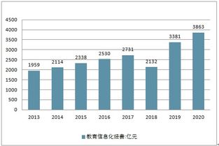 投资前景与分析