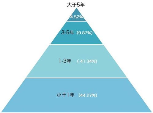 罕见！苹果首次曝光中国开发者收入，揭秘苹果生态下的开发者收益新动向