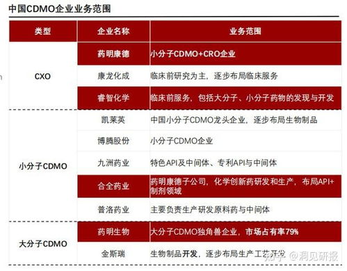 中保车险电话及其服务概览