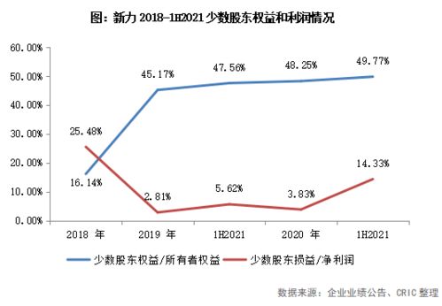 新力控股股票分析与投资策略