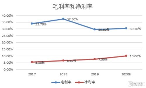 新力控股股票分析与投资策略