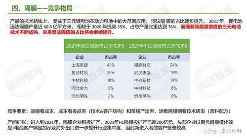 莲花味精（600186）投资分析报告