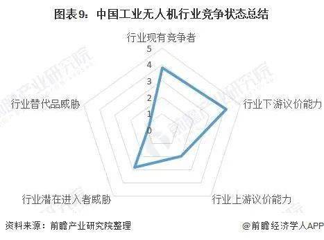 投资策略与市场洞察