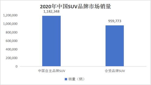 中国汽车保险市场分析与投资机会