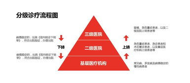 深入解析与投资指南