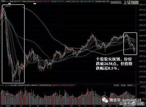 配股是好事还是坏事？——深入解析配股的利与弊