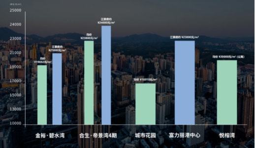 区域优势与未来发展潜力分析