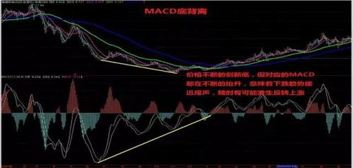 解码601012股票，为何它值得你关注？