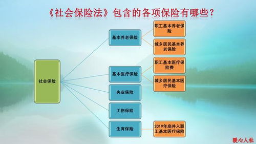 养老保险可以中断吗？全面解析与应对策略