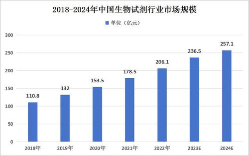 稳健增长与未来潜力