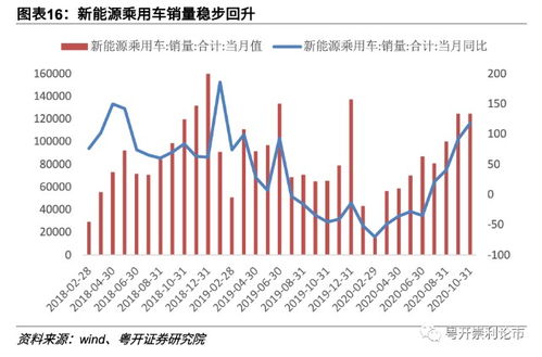 潜力与前景的深度解析