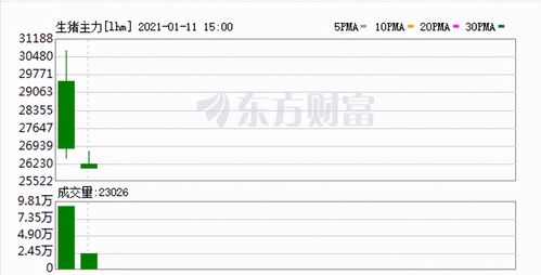 精准解析与投资策略