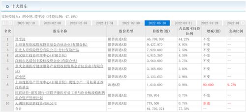 国联证券中签号解析与投资策略