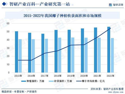 市场表现与投资前景分析