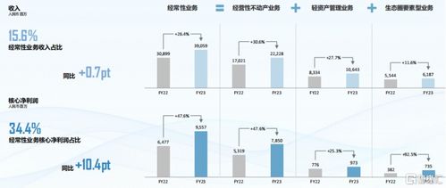 稳健前行的房地产龙头