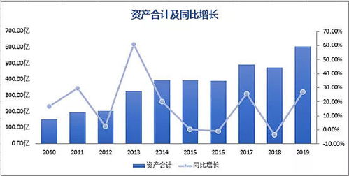 投资价值与未来展望