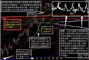 了解市场动态，把握投资机遇